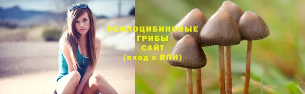 Альфа ПВП Богородицк