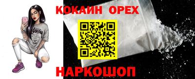 твердый Новодвинск