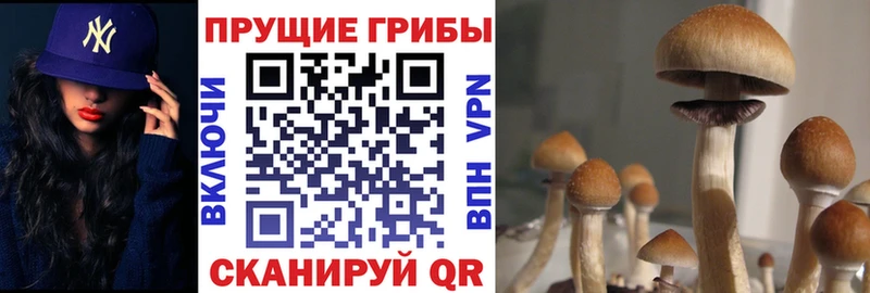 Галлюциногенные грибы MAGIC MUSHROOMS Валуйки