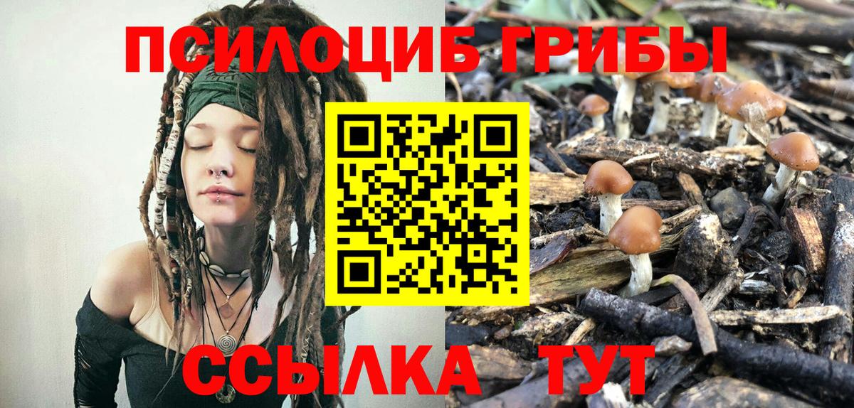 Псилоцибиновые грибы Psilocybine cubensis  Псилоцибиновые грибы ЛСД  Вход с VPN  Валуйки 